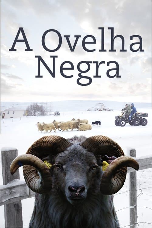A Ovelha Negra poster