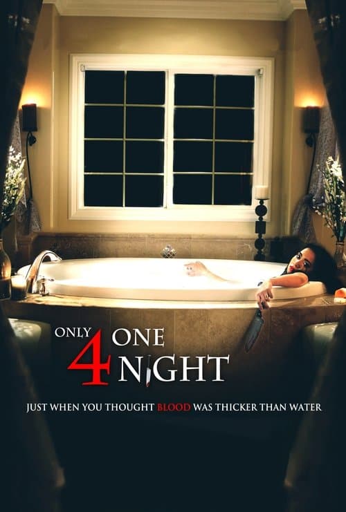 Apenas Por Uma Noite poster