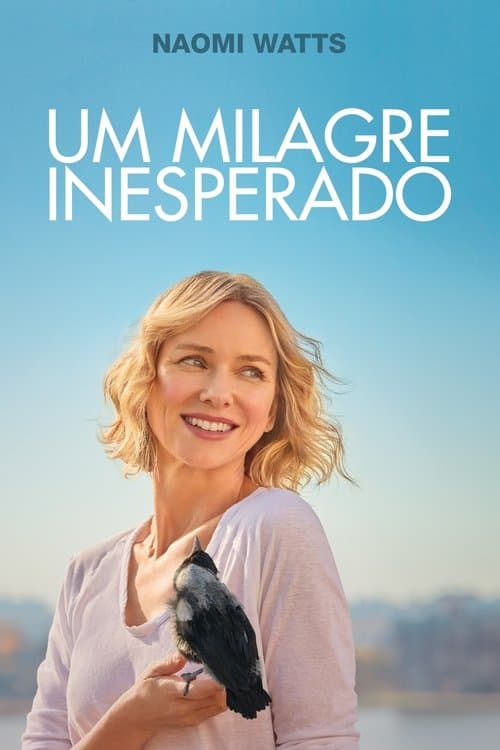 Um Milagre Inesperado poster