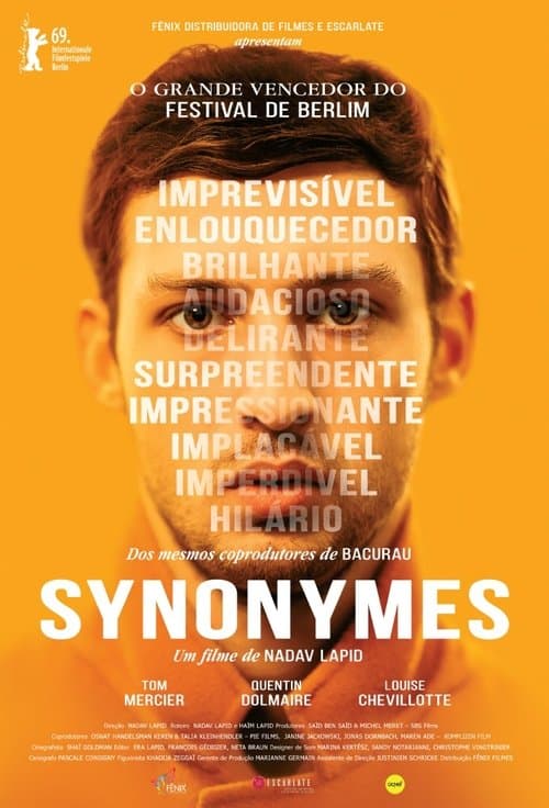 Sinônimos poster