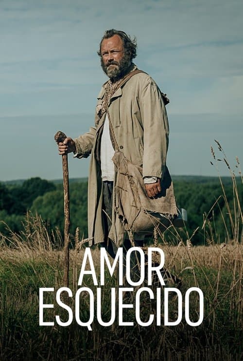 Amor Esquecido poster