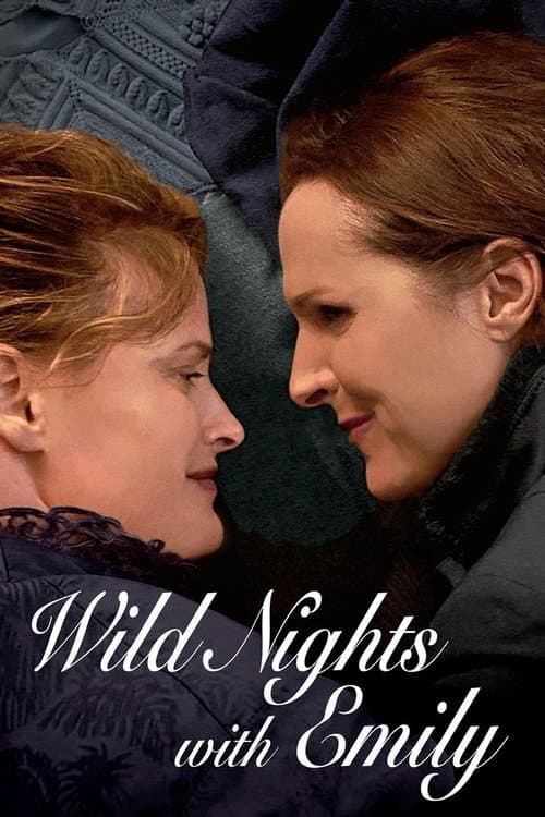 Loucas Noites com Emily poster