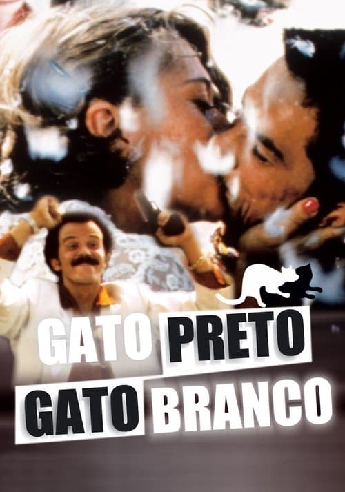 Gata Preta, Gato Branco poster