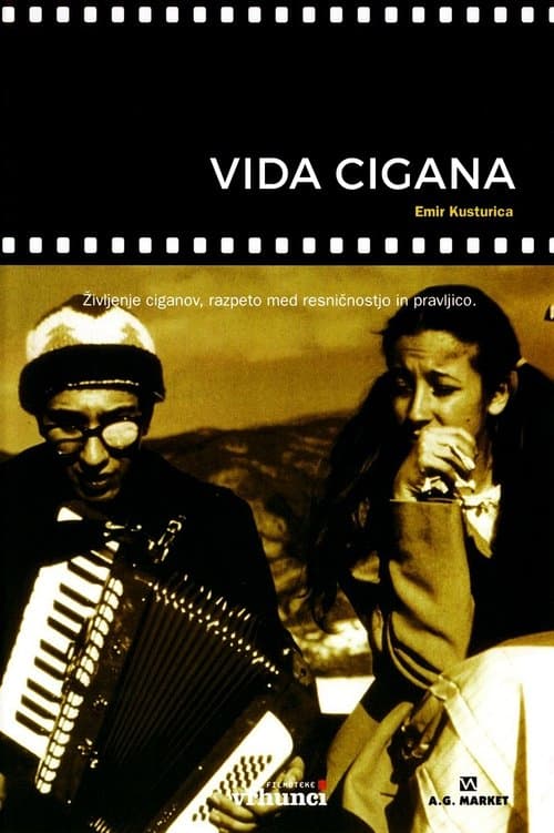 Vida Cigana poster