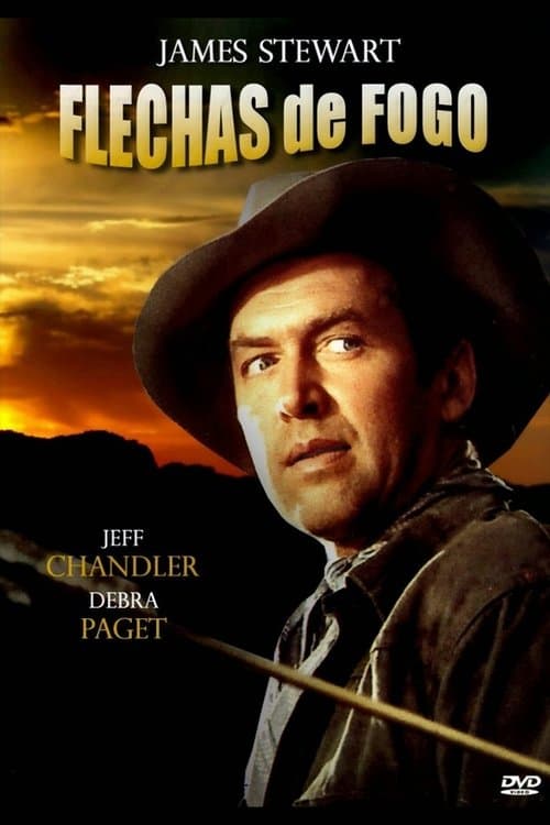 Flechas de Fogo poster