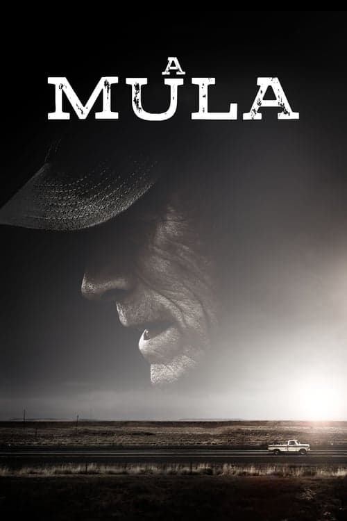 A Mula poster