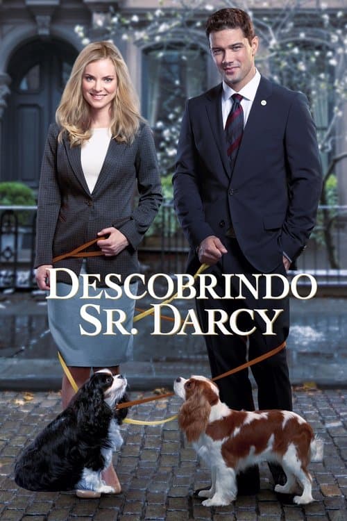 Descobrindo Sr. Darcy poster