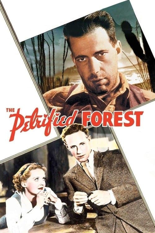 A Floresta Petrificada poster