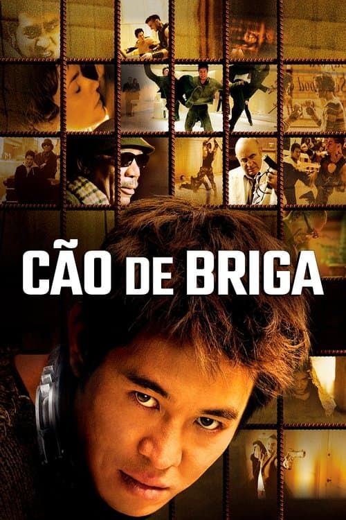 Cão de Briga poster