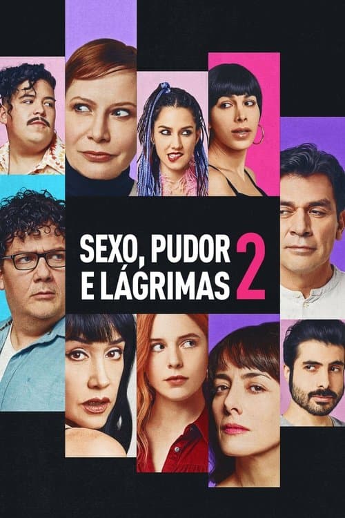 Sexo, Pudor e Lágrimas 2 poster