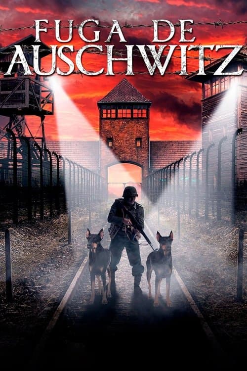 Fuga de Auschwitz poster