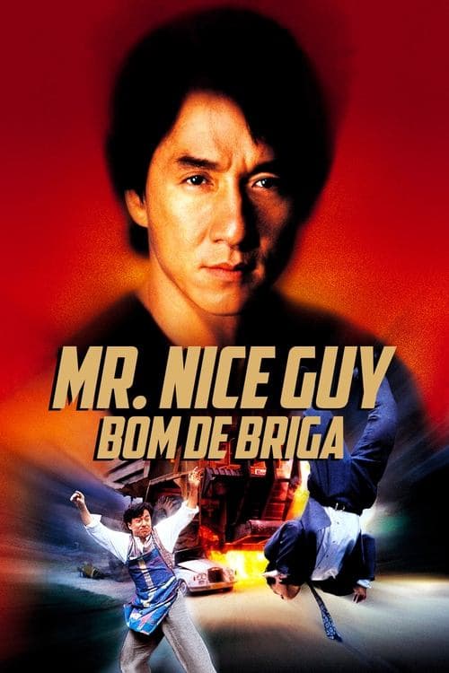 Mr. Nice Guy: Bom de Briga poster
