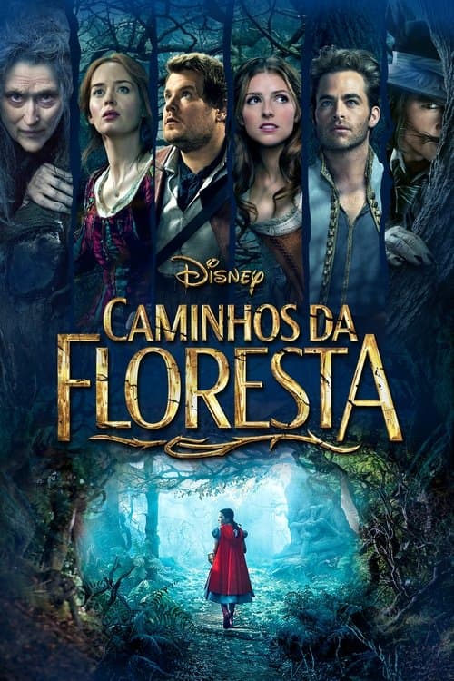 Caminhos da Floresta poster