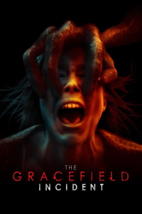 O Incidente de Gracefield poster