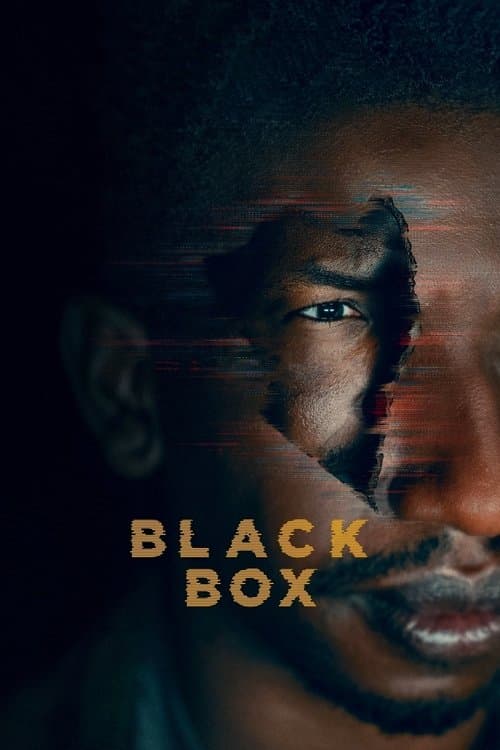 Caixa Preta poster