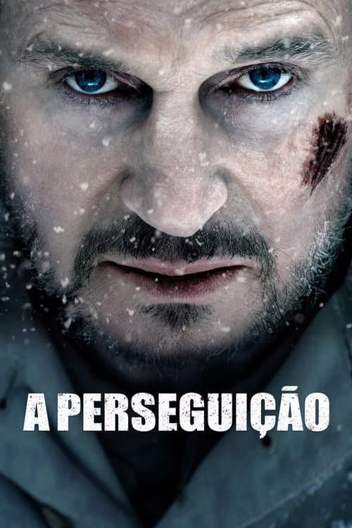 A Perseguição poster