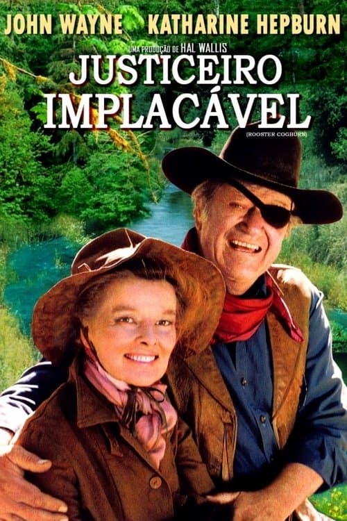 Justiceiro Implacável poster