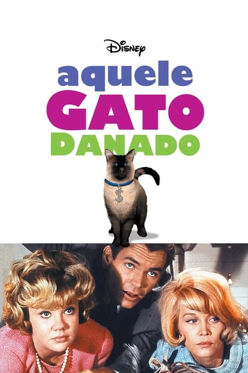 Aquele Gato Danado poster