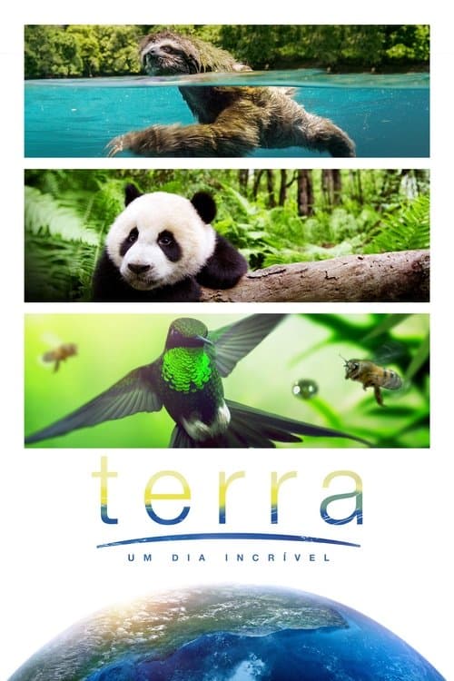 Terra: Um Dia Incrível poster
