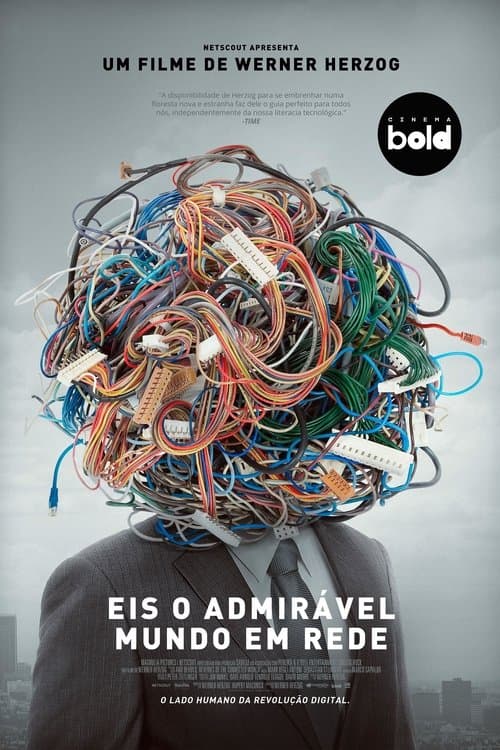 Eis os Delírios do Mundo Conectado poster