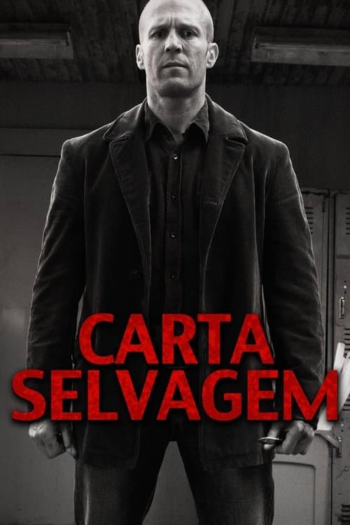 Carta Selvagem poster