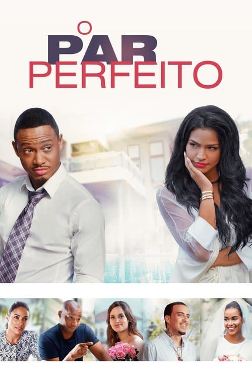 O Par Perfeito poster