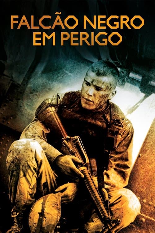 Falcão Negro em Perigo poster