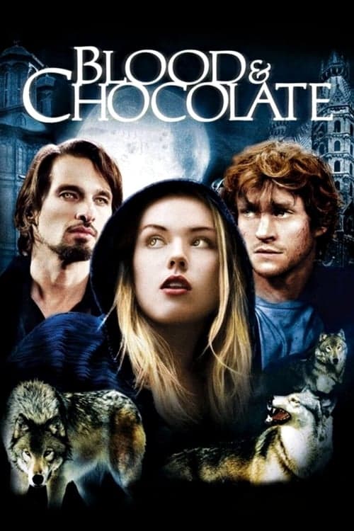 Sangue & Chocolate poster