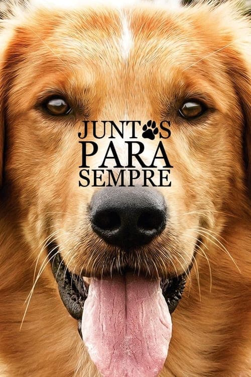 Quatro Vidas de um Cachorro poster