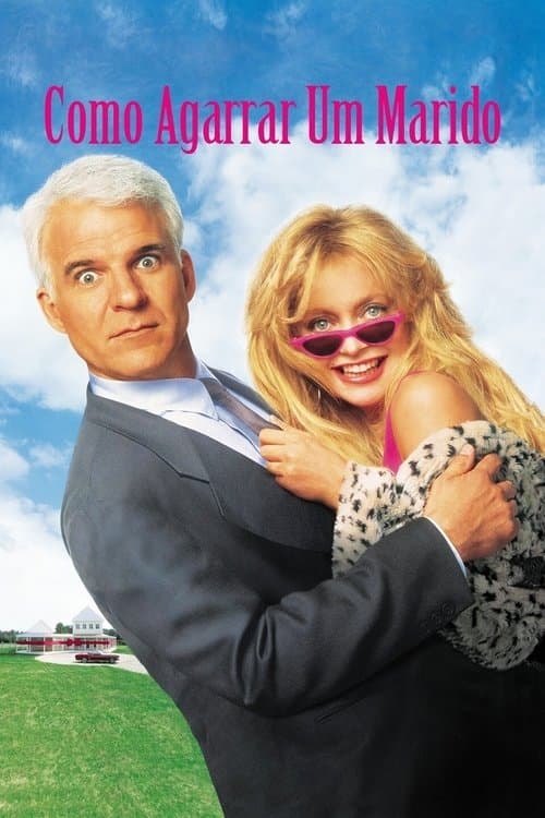 Como Agarrar um Marido poster