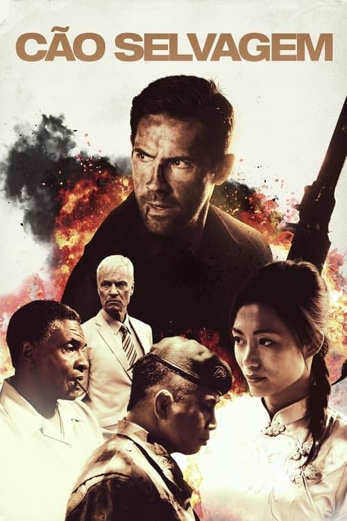 Cão Selvagem poster