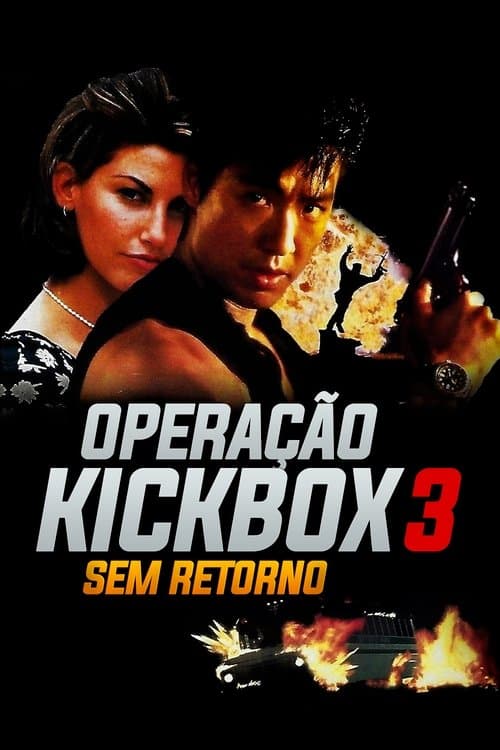 Operação Kickbox 3 - Sem Retorno poster