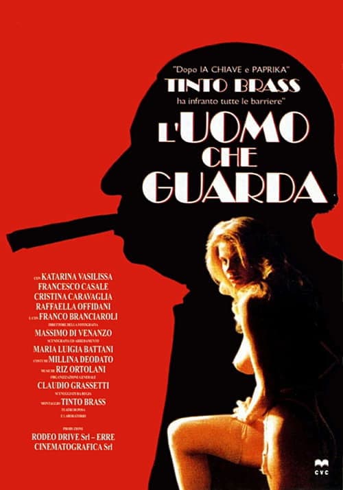 O Voyeur poster