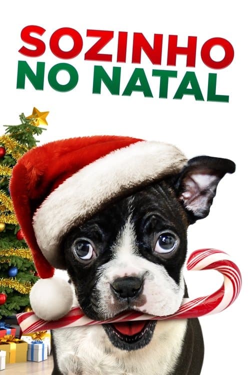 Sozinho no Natal poster