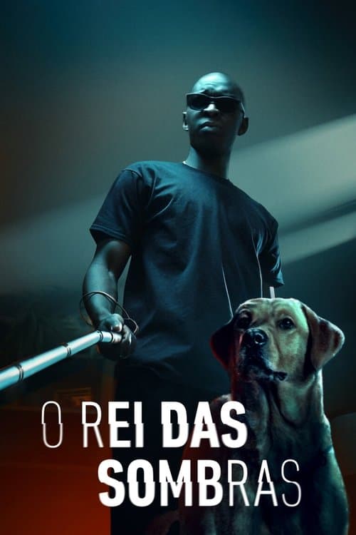 O Rei das Sombras poster