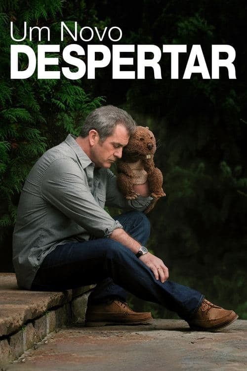Um Novo Despertar poster