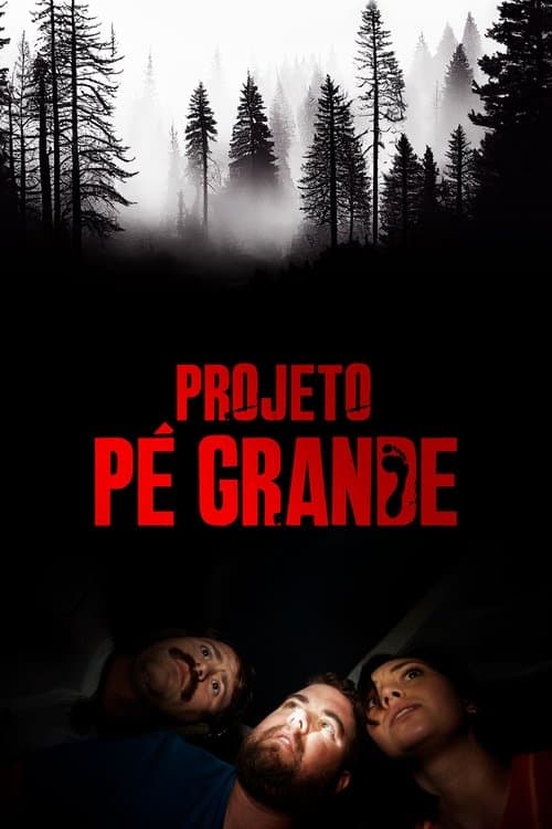 Projeto Pé Grande poster