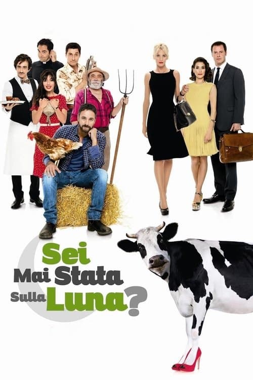 Você Já Esteve Na Lua? poster