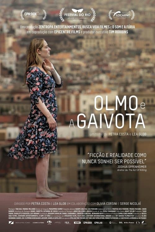 Olmo e a Gaivota poster