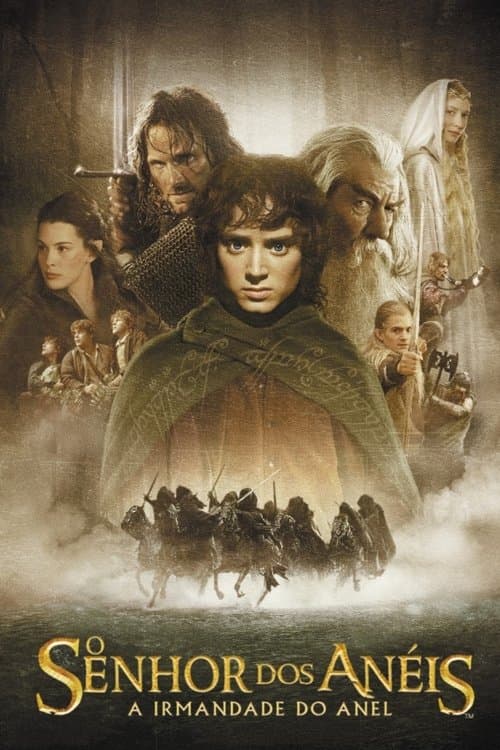 O Senhor dos Anéis: A Sociedade do Anel poster