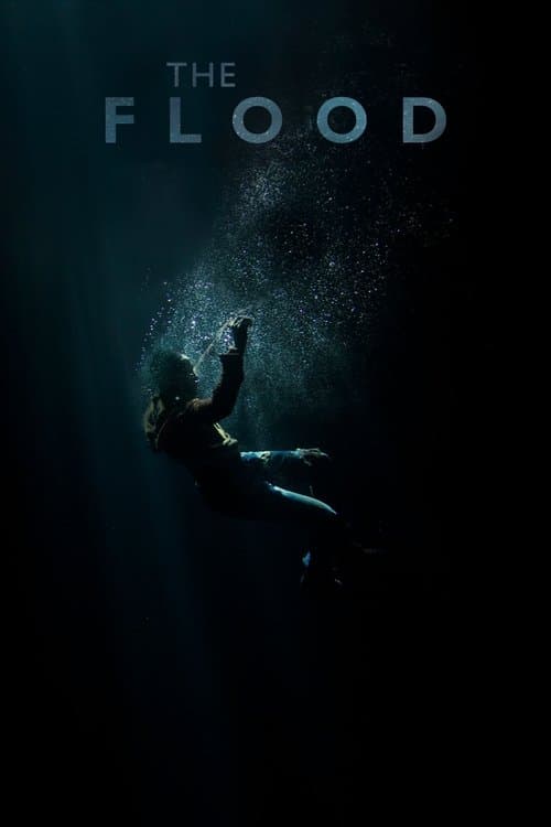 Refugiado poster