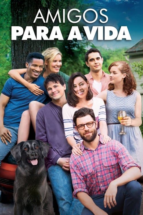Amigos Para a Vida poster