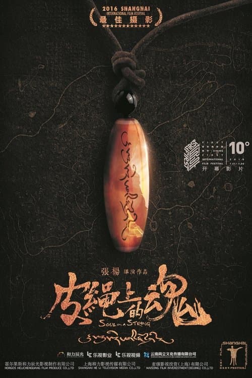 皮绳上的魂 poster