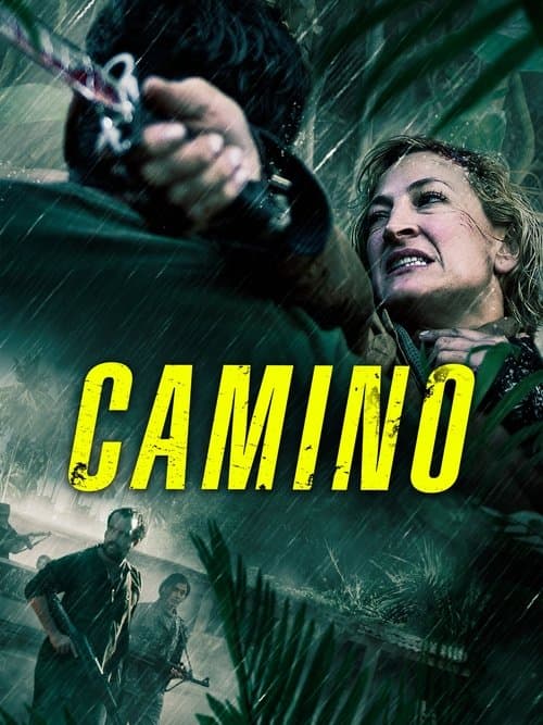 Camino poster