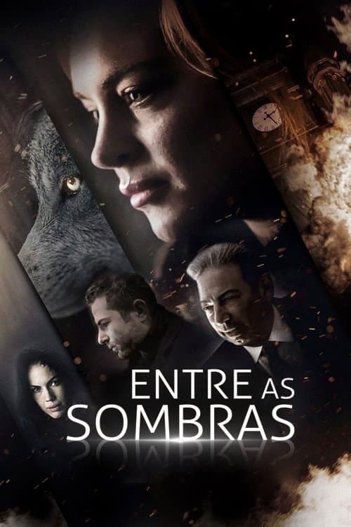 Entre as Sombras poster