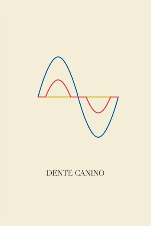Dente Canino poster