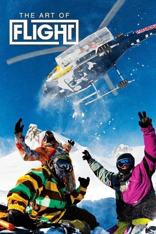 A Arte de Voar poster