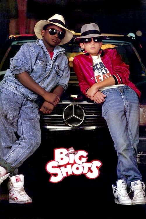 Uma Dupla Agitada poster