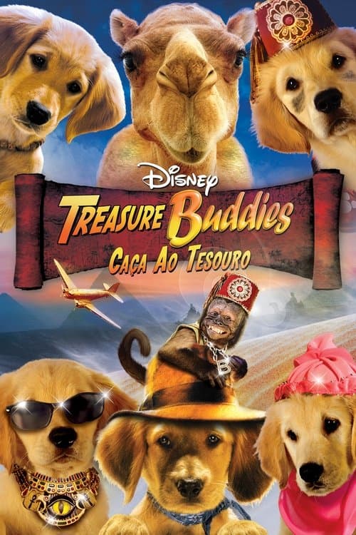 Treasure Buddies: Caça ao Tesouro poster