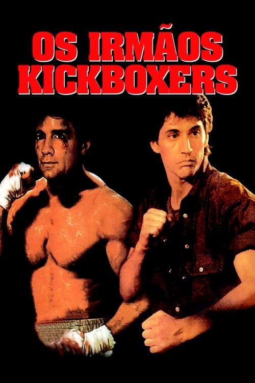 Os Irmãos Kickboxers poster